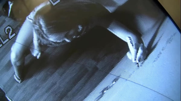 Hung Cocks Througfh Gloryhole Only For Aria Austin