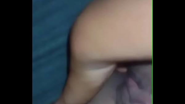 Download Video - Vaca