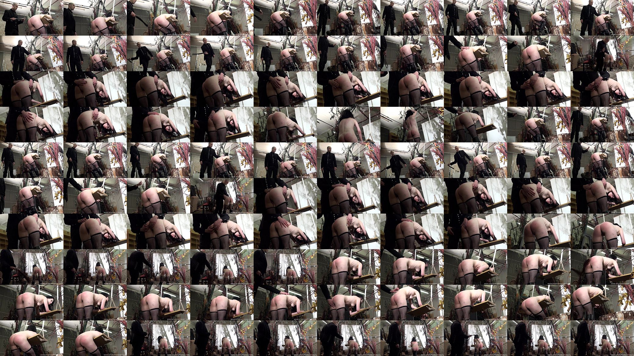 Leather belt spanking and corporal punishment of humiliated brunette spankee Fae 预览图