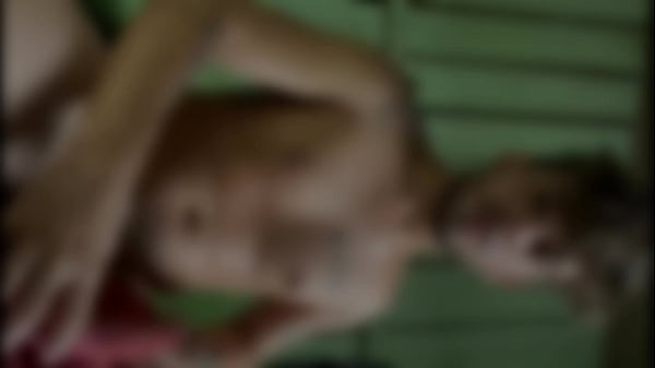 Ele e lindo !!!? Ainda n&atilde;o viu ??? VENHA VER