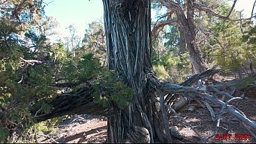 Slut Hunt Ep.10: Wrecking Willow - Teaser | Prod by Nade Nasty