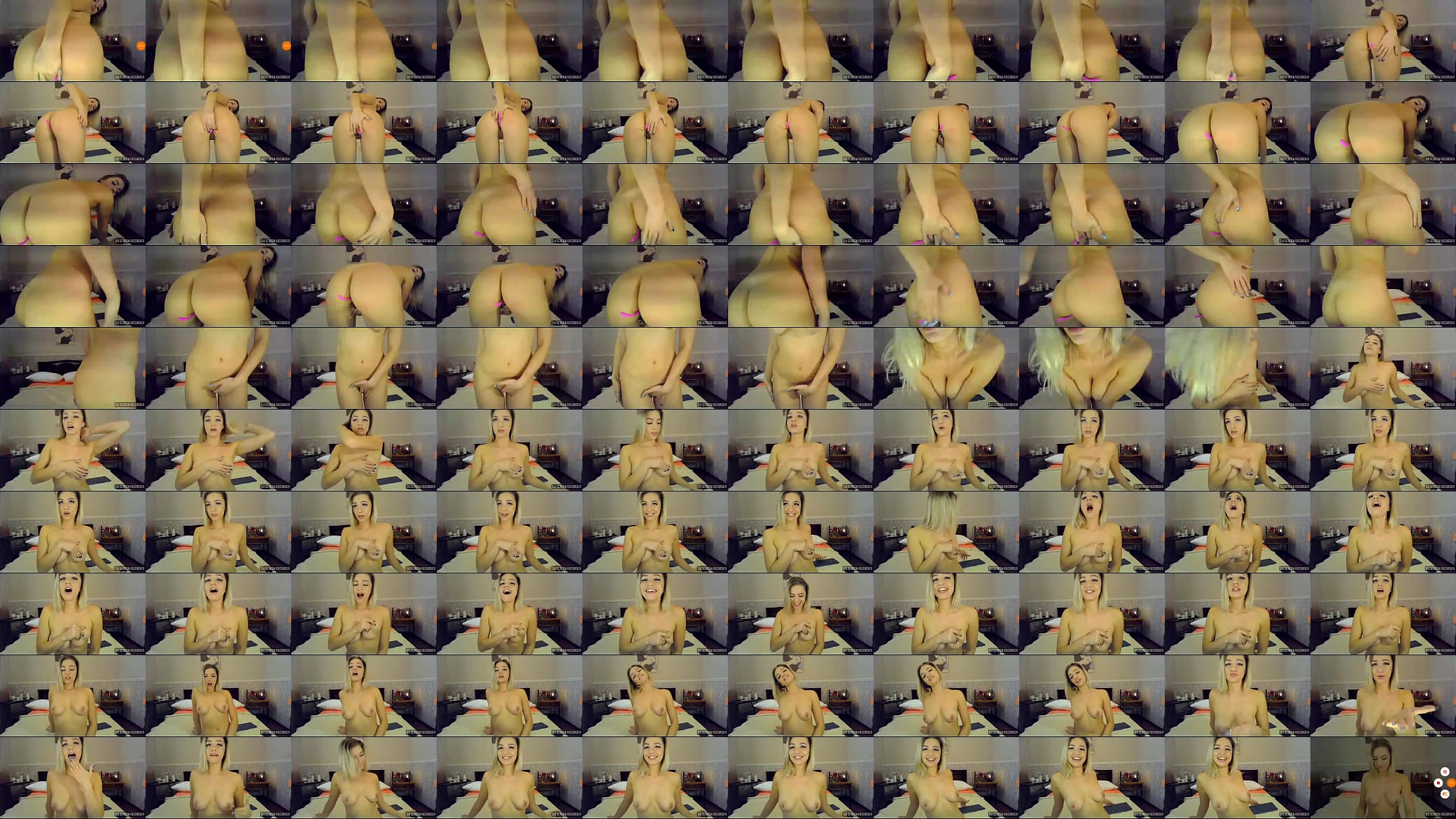 Catton candyy 预览图