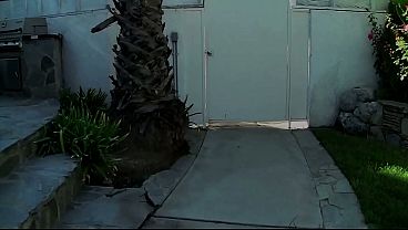 Pretty Blonde Kylee Nicole Trades Interracial Oral Sex With Uncut Black Man