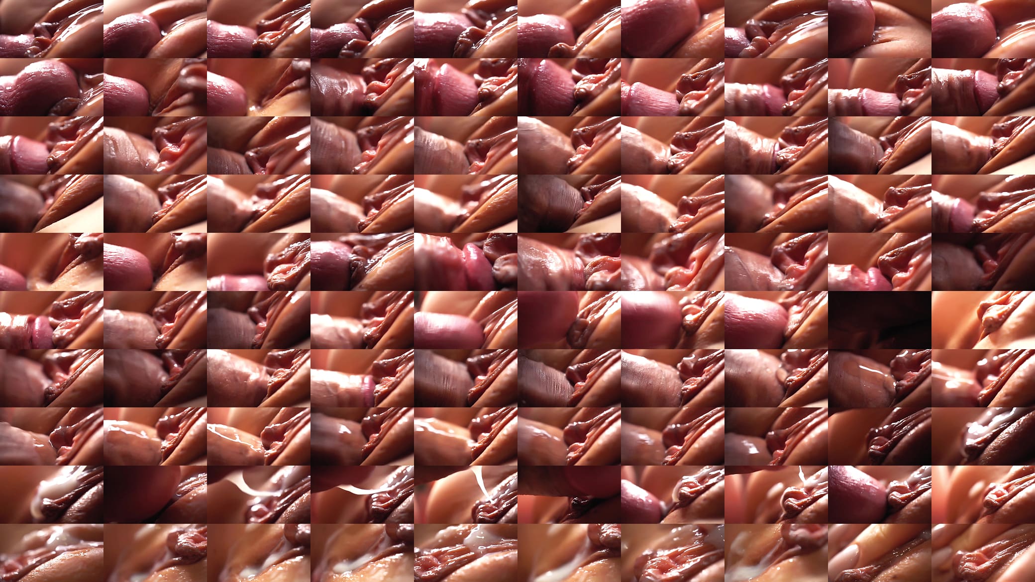 SLOW MOTION macro penetration in great detail 预览图