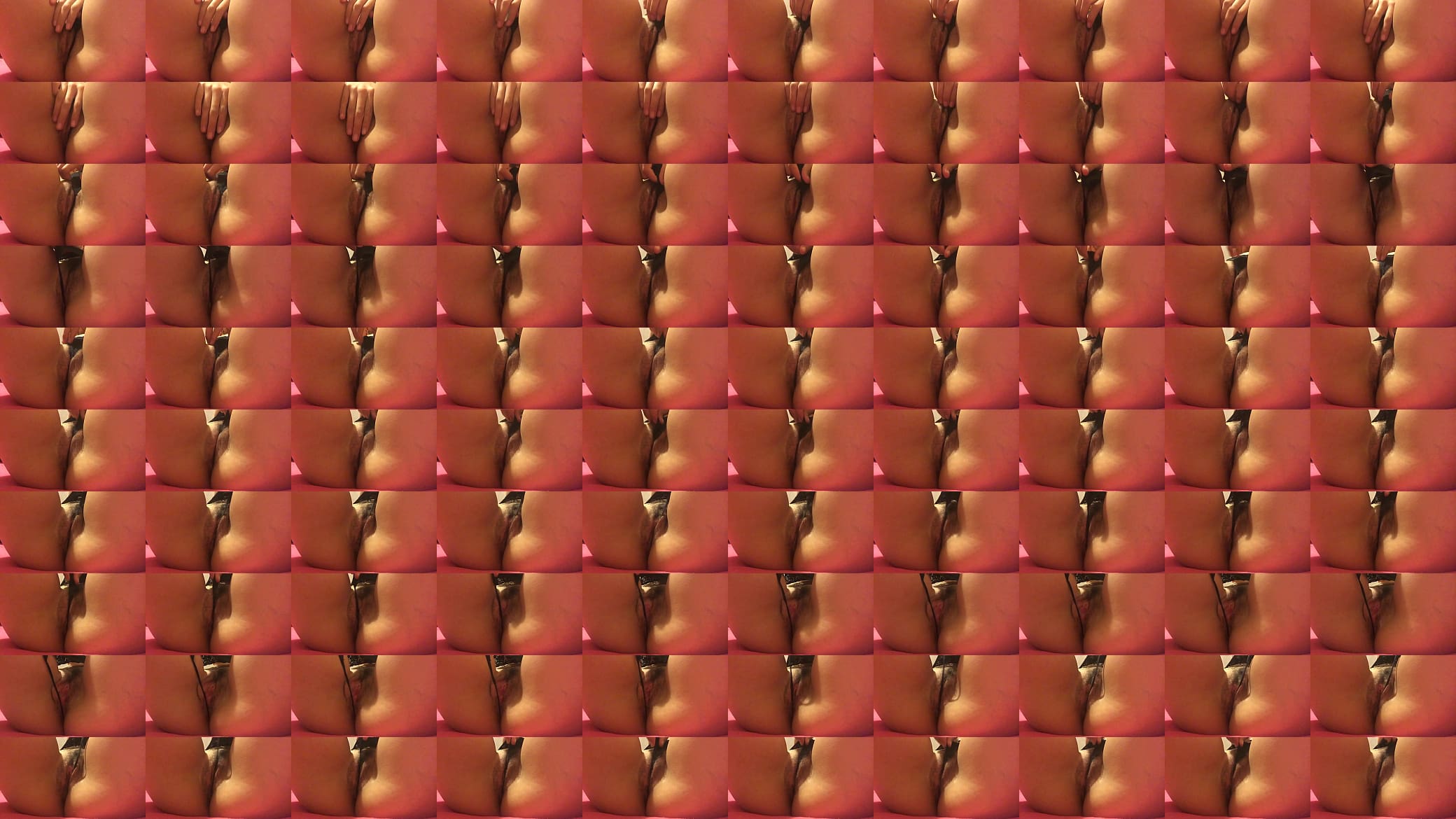Conchita 预览图