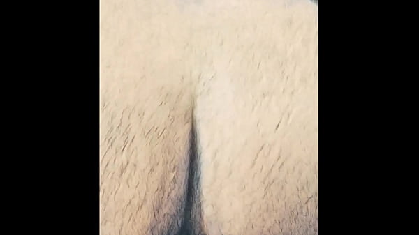 Deixaria eu cavalgar no seu pau?