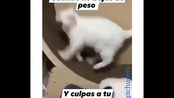 Me follo una venezolana culona rica