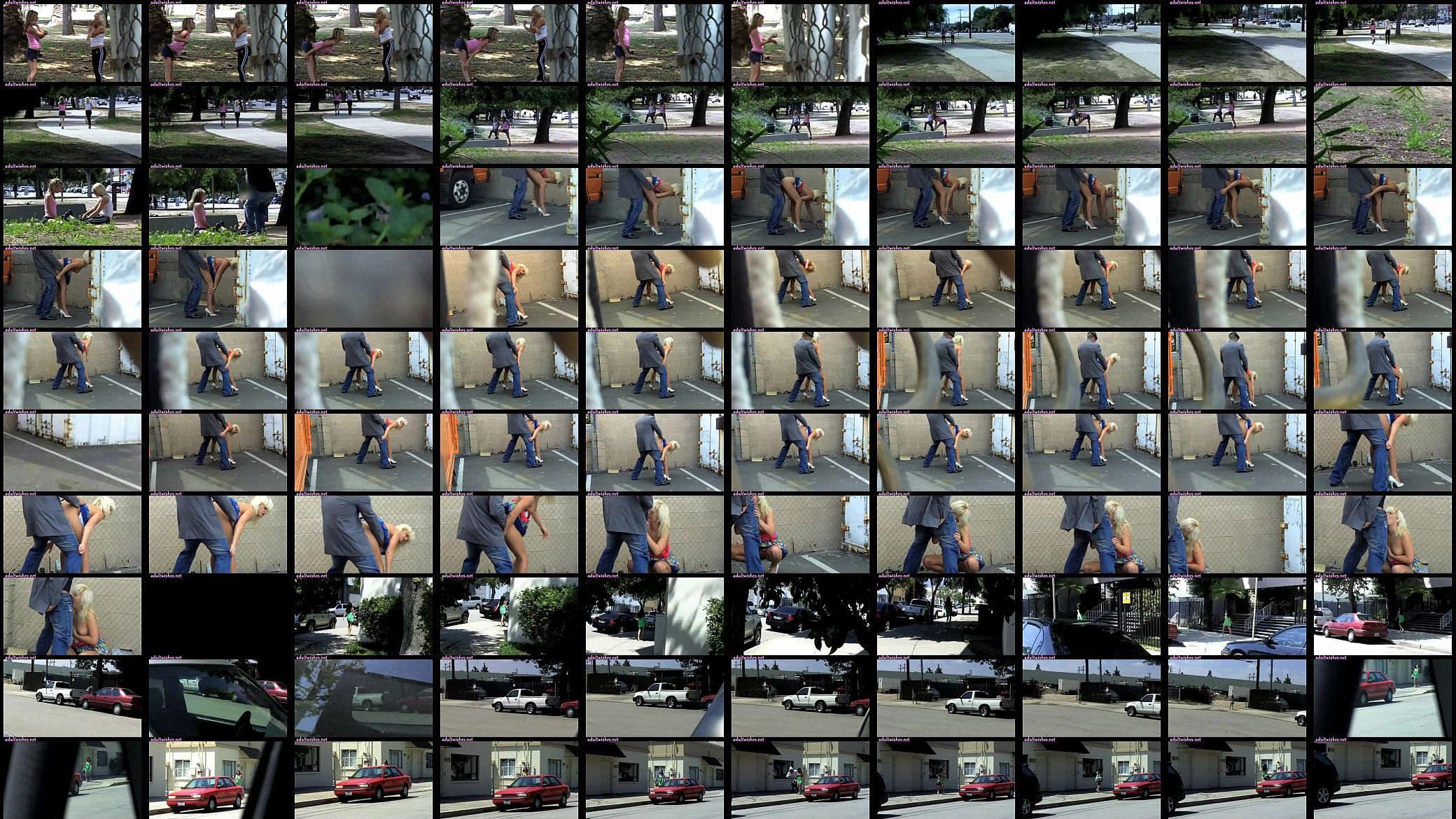 Blonde slut sucking a cock on the street 预览图