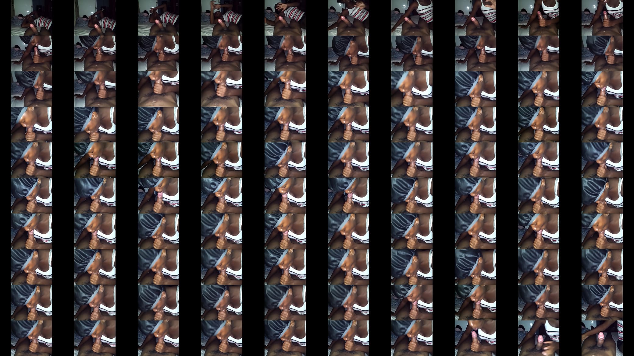 my bronx thotty 预览图