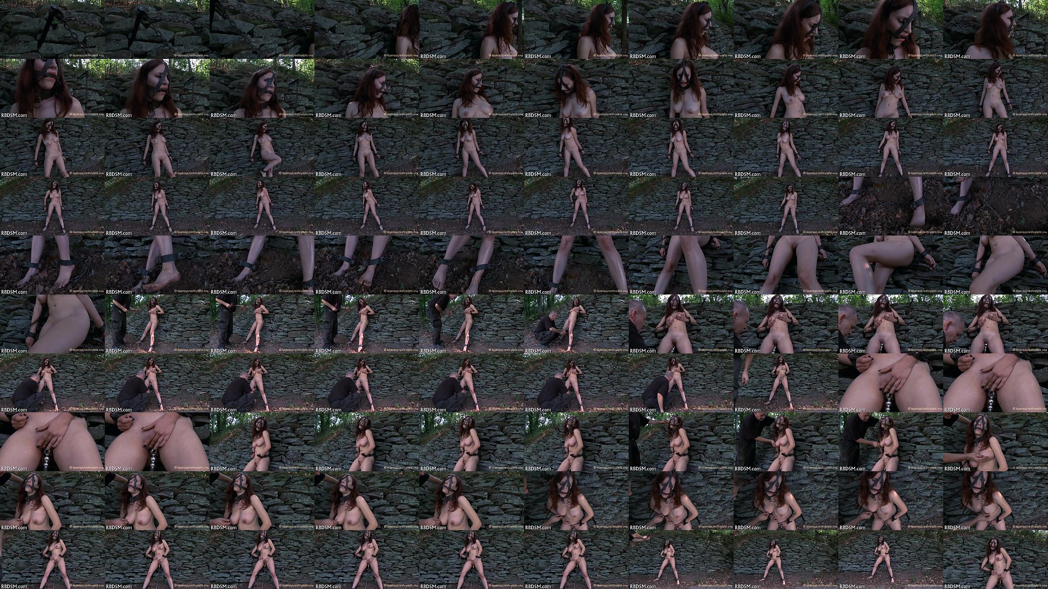 Slave sadomasochism 预览图