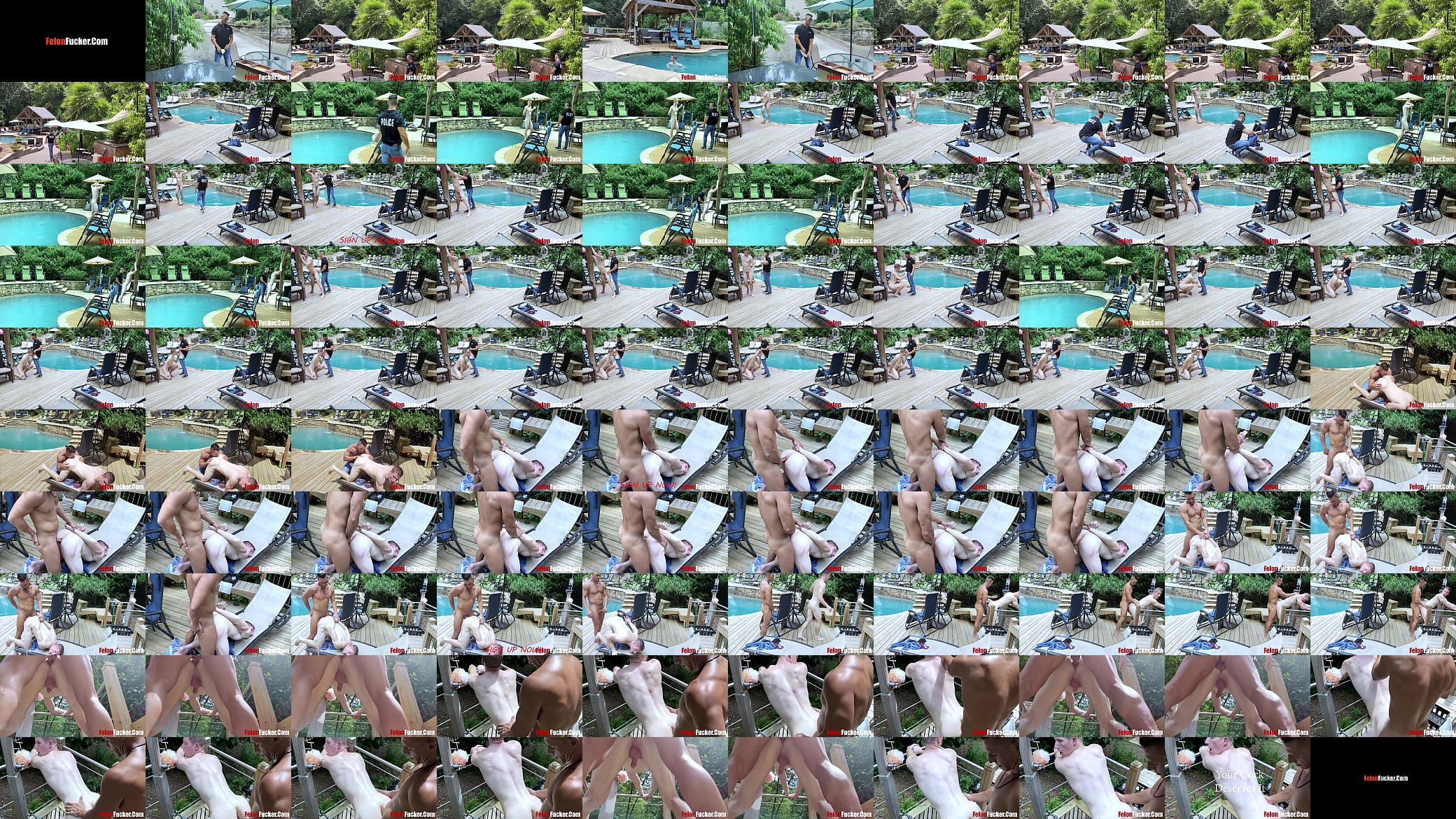 Pool Side Fuck With Old Cop 预览图