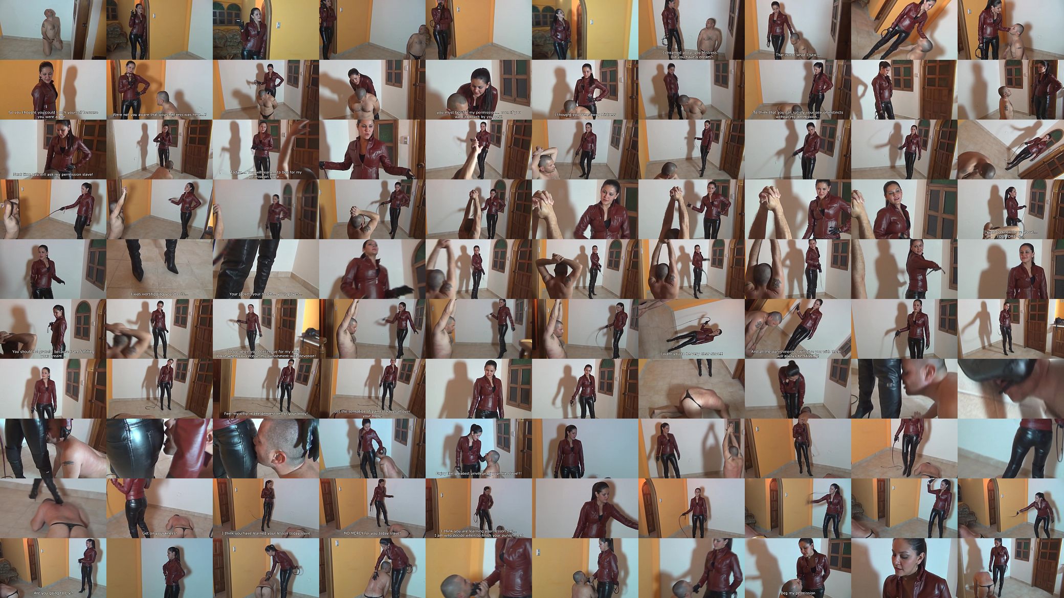 Clip 007944 预览图
