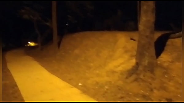On the way back from the club I did a Gangbang in the square. https://izabelapimenta.com/