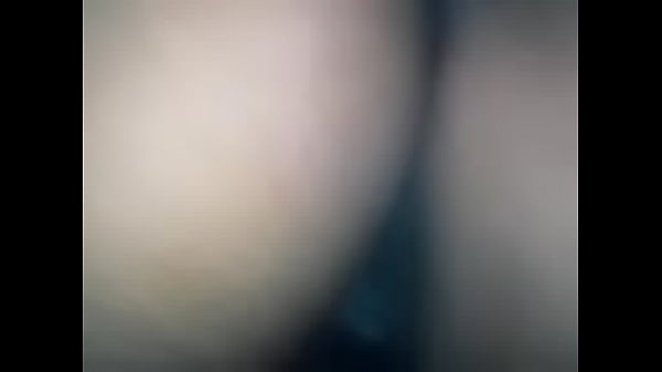 zorra