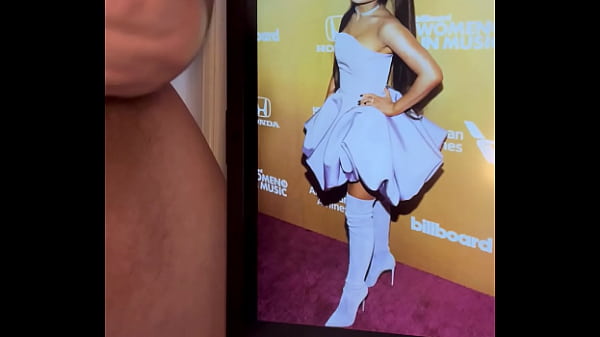 Vidéo De La Vérification