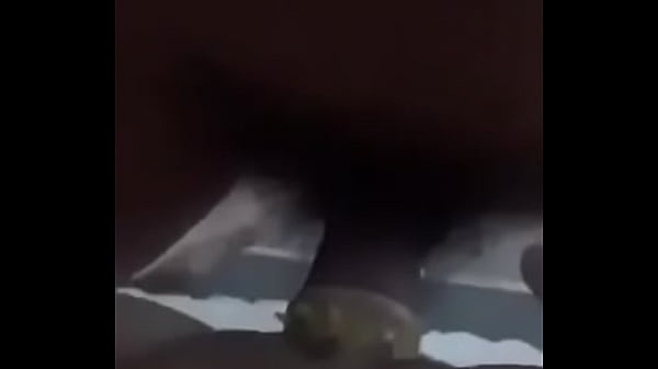 Video De Vérification