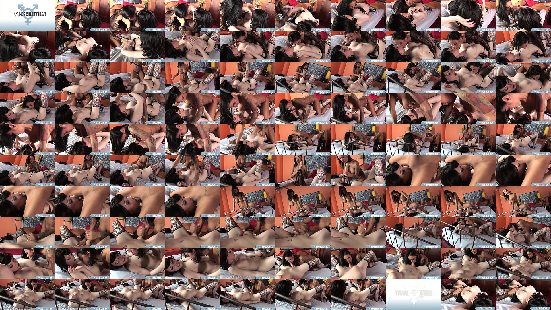T-Brunette Angelina Valentine &amp; Hot Sarina Valentina In Wild Oral Action! 预览图