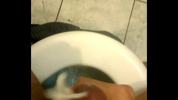 WP 20160404 03 37 22 Pro