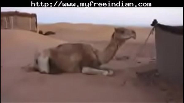 Xvideos(001)