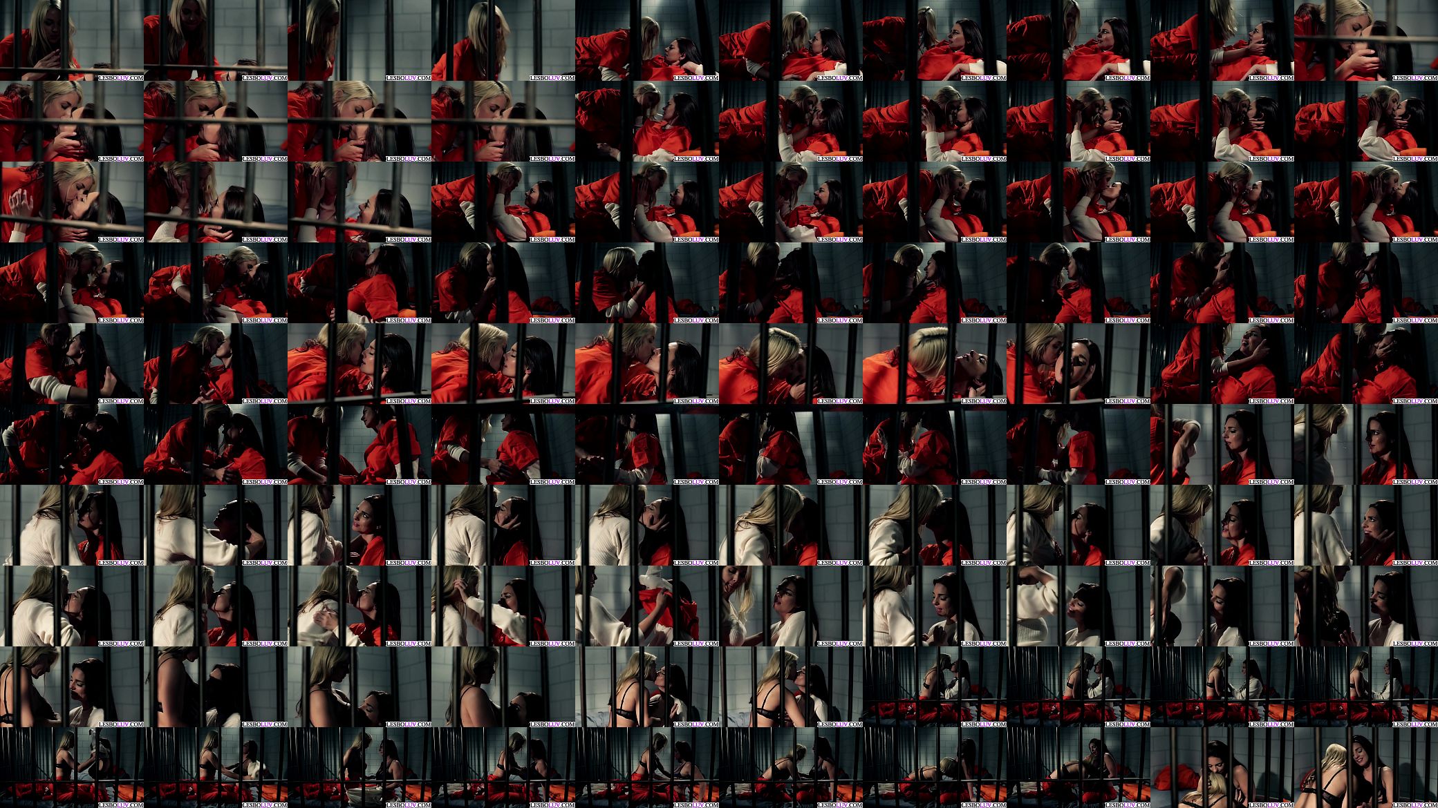 Sexy lesbian prison MILFs 预览图