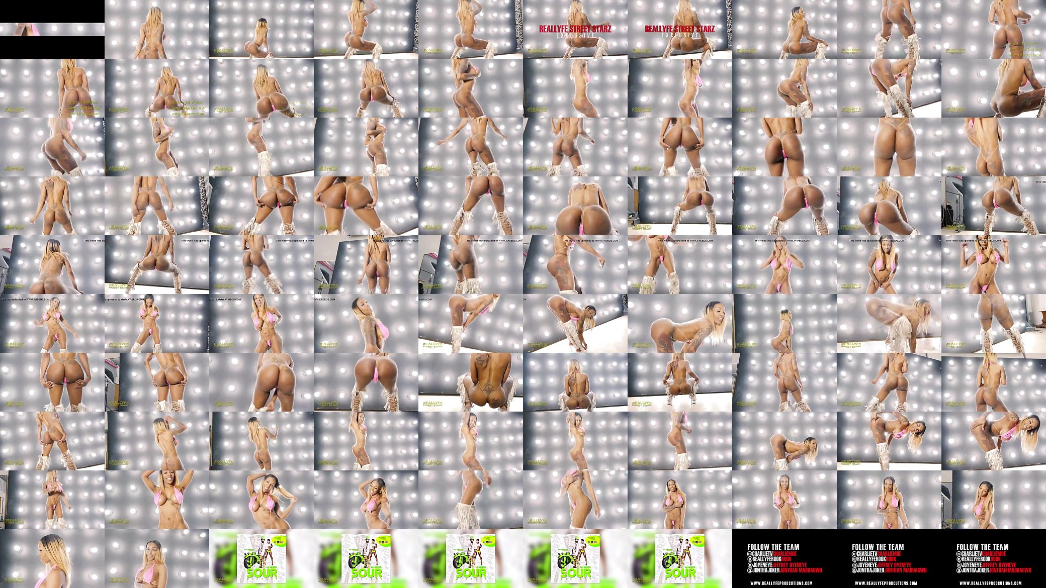 Twerking 预览图