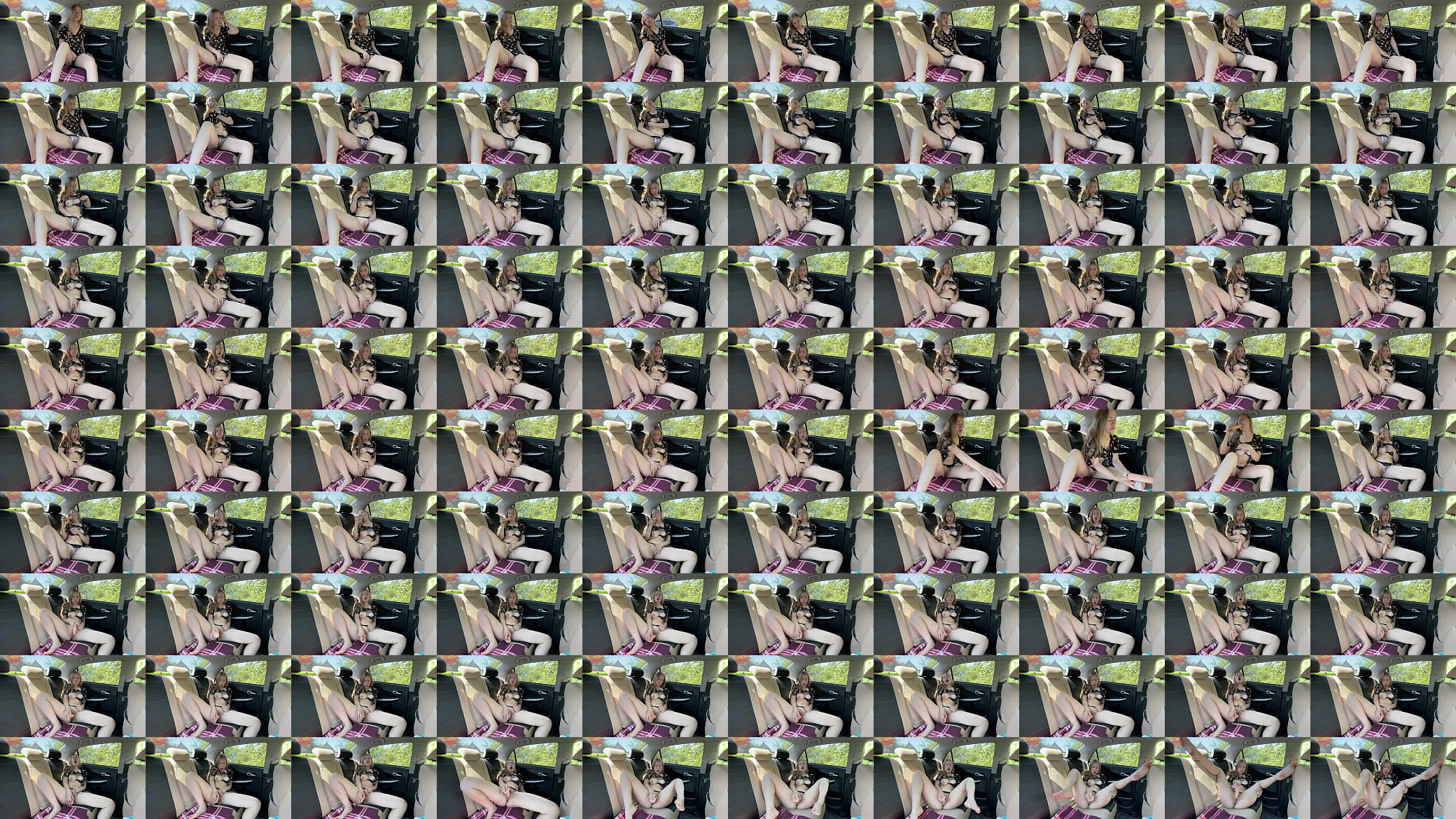 I masturbate in the car, brought myself to a sweet orgasm 预览图
