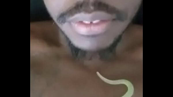 Other colors these scorpio zodiac animals show up in 2