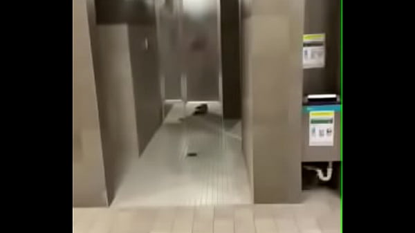 Fête De Démonstration