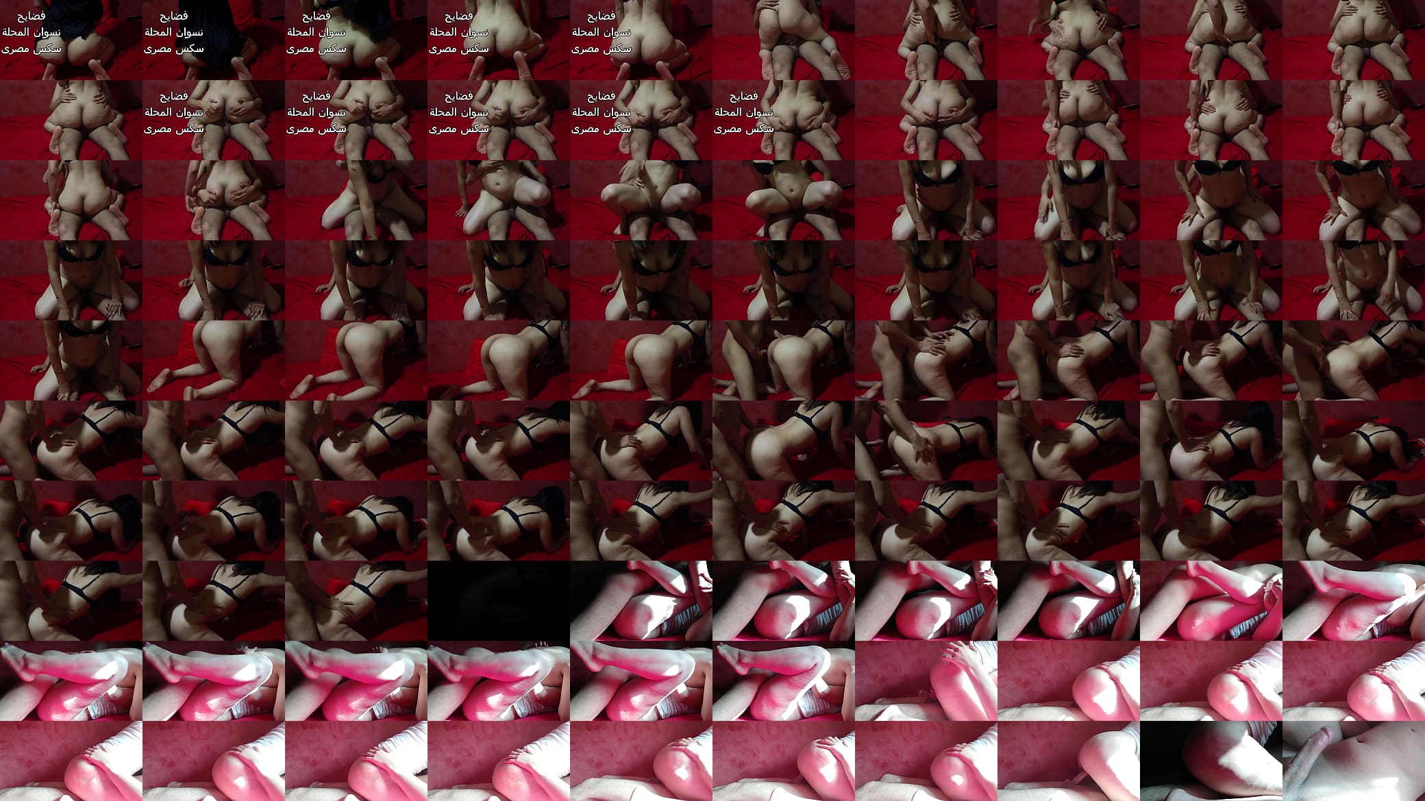 سكس عربى شرموطه مصريه طيزها كبيره عايزه اتناك 预览图