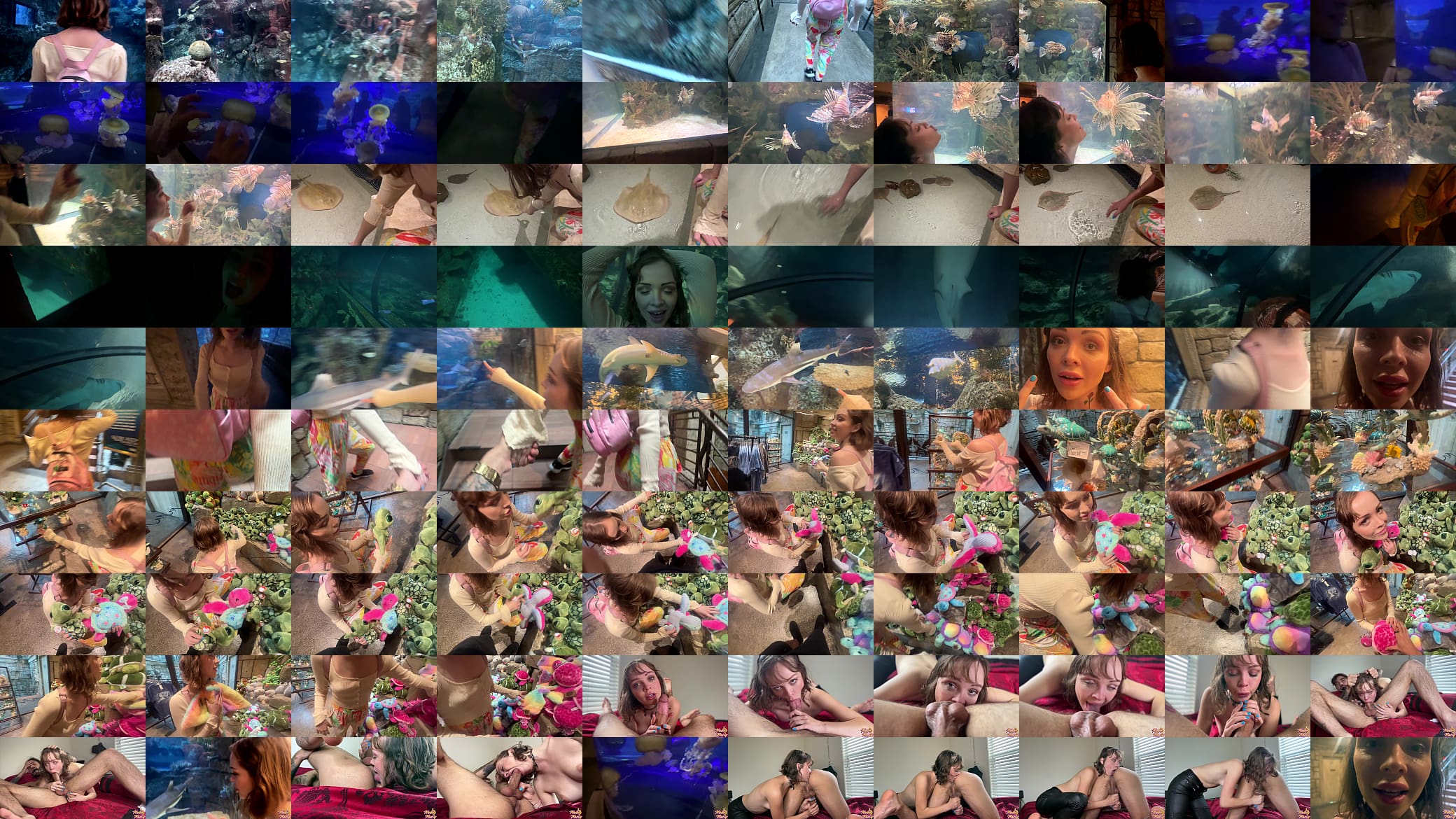Aquarium Trip with Aliya Brynn Turns Into Aggreive Ass Eating and Milking 预览图