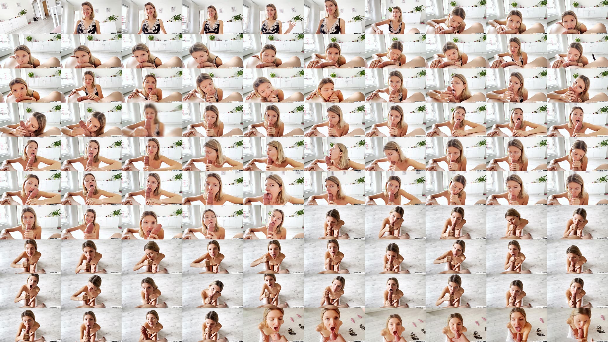 Gina Gerson POV Blowjob 预览图