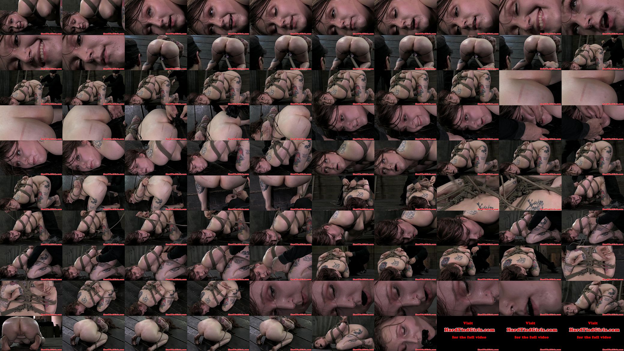 BDSM bondage sub Mollie Rose hogtied 预览图
