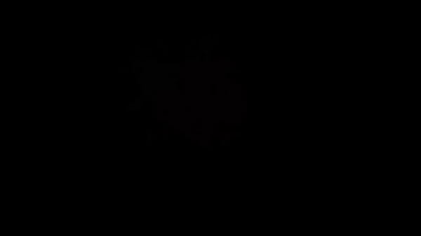 Fucking Hot Chick Get Dick In Her White Ass