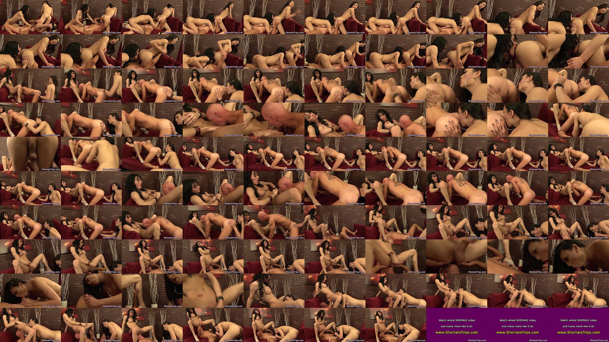 Ladyboy and tgirl rimmed 预览图