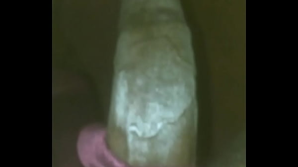 Schwanzflex