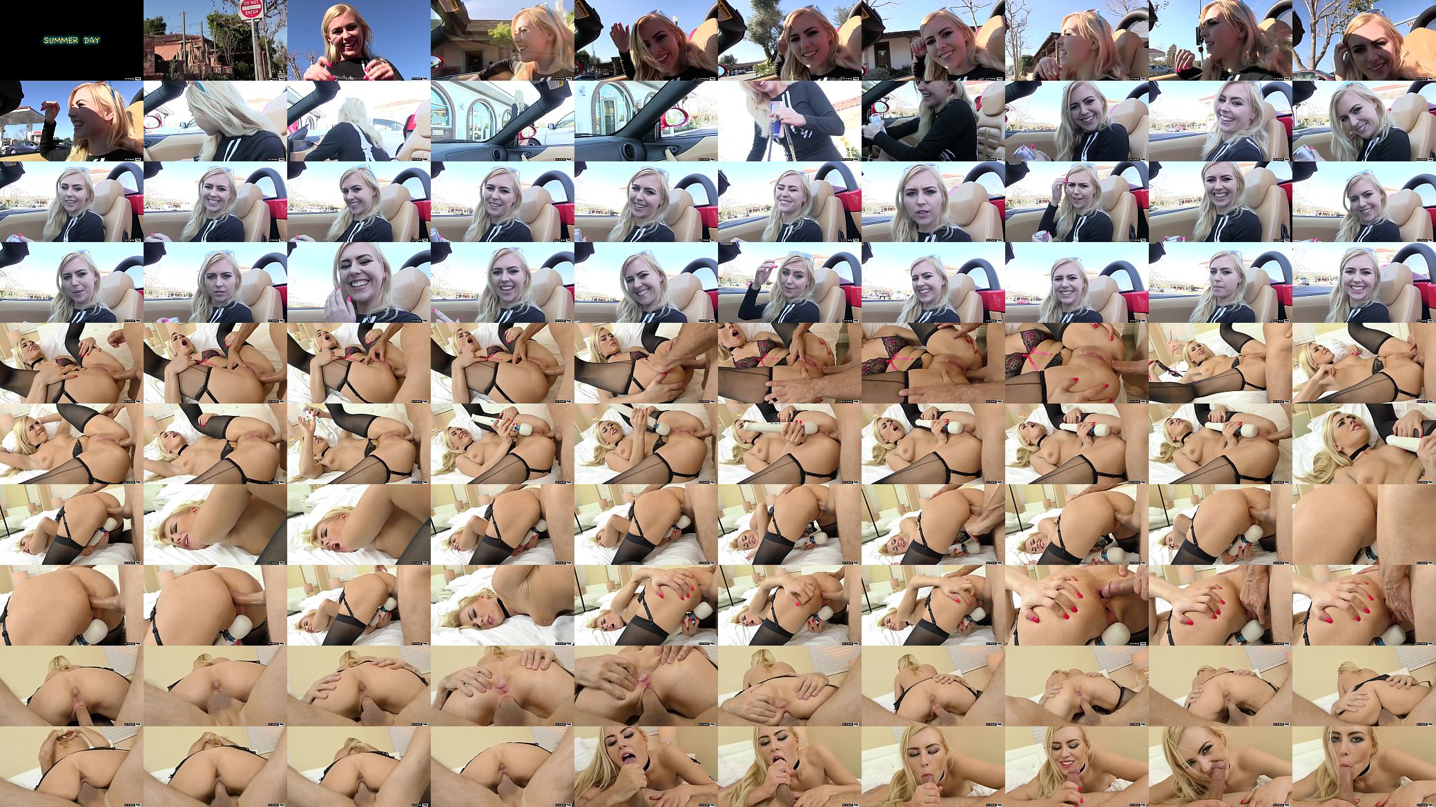 Hot blonde Summer Day loves giving rim jobs and getting ass fucked 预览图