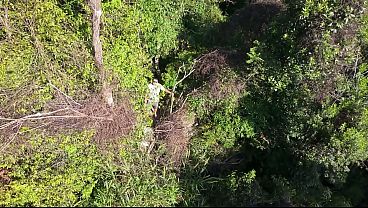 Drone footage captures couple having sex on the Itacolomi hill trail in Gravataí.