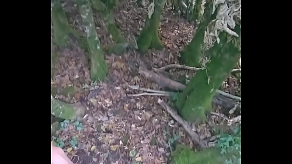 Tu me rejoint dans les bois