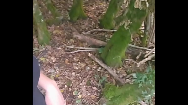 Tu me rejoint dans les bois