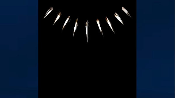 Chasing Echoes in Electric Nights