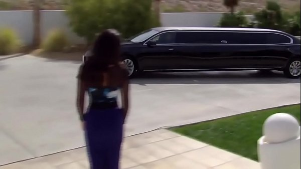 Meet the rest of the horny swingers