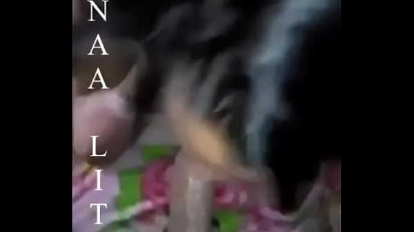 sucking the tasty roll 