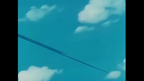 Dragonball Z - Videl and Gohan 1