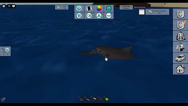 sharks having hot sex in brookhaven (i came twice watching this)