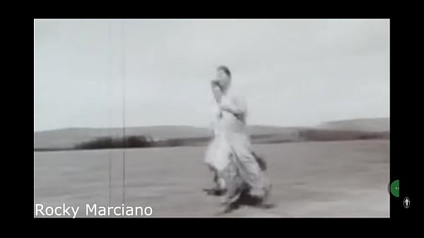 Boxers training part 3