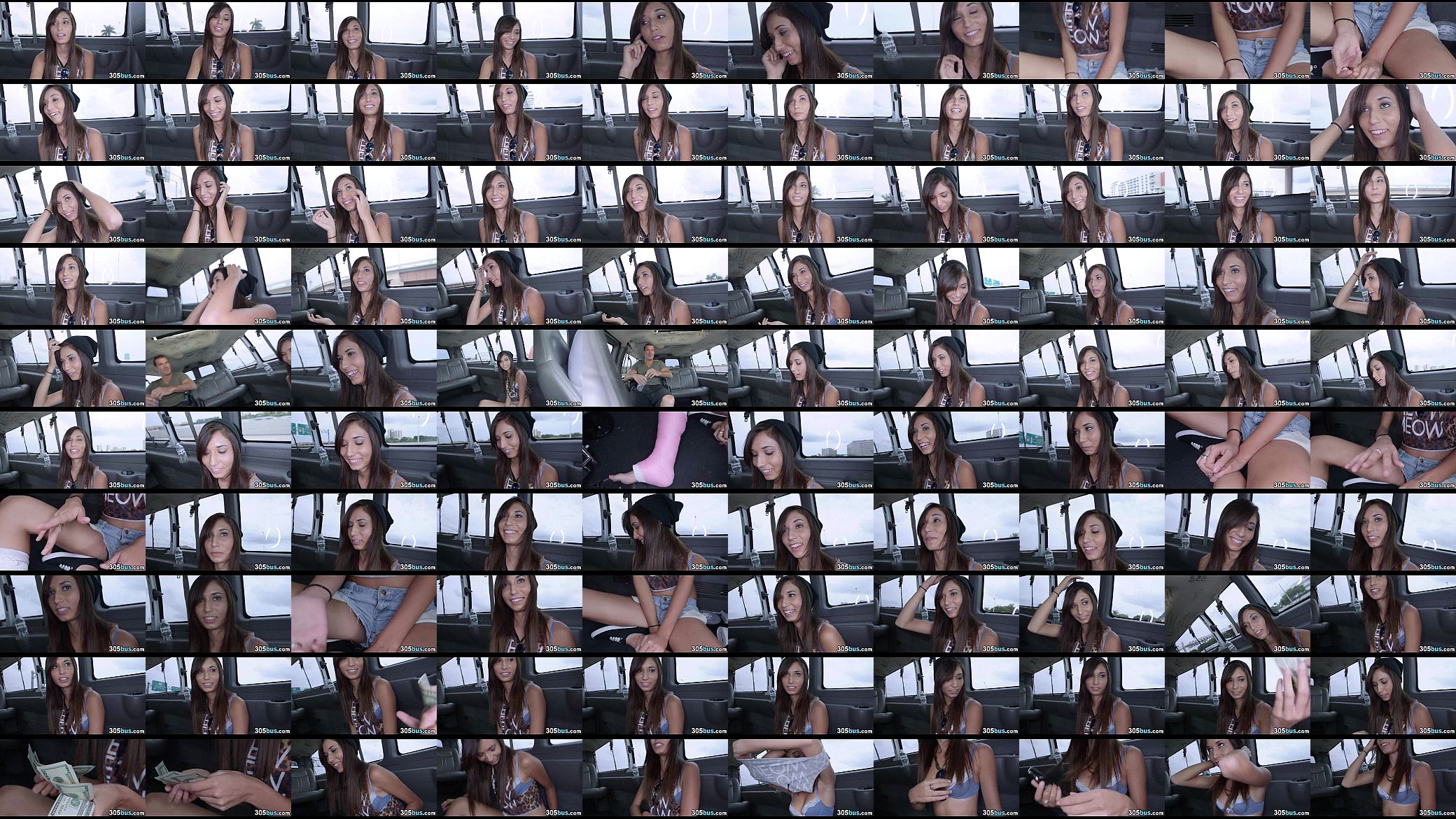 Slut Banged in Van 37 预览图