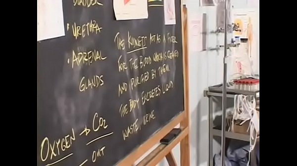 Sweltering dilettante gives hot pov blowjob and gets drilled