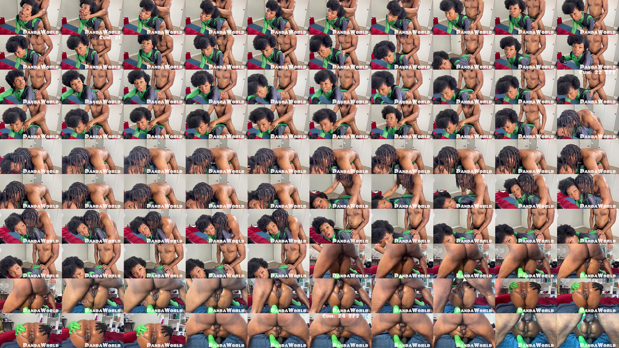 Shego Panda Ebony Anal Fuck 预览图