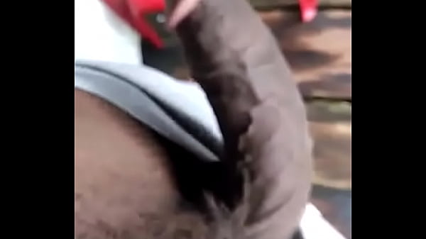 Download Video - En el trabajo