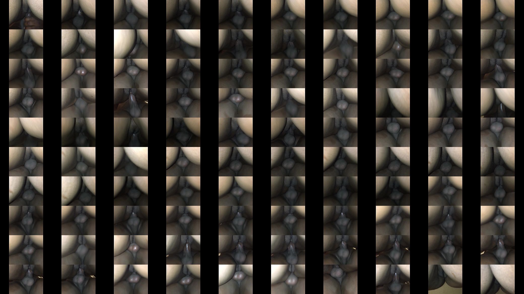 Verification video 预览图